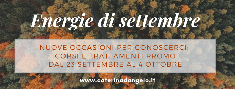 settimana dello shiatsu torino